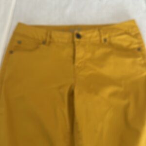 Mustard Yellow Soft Jeans